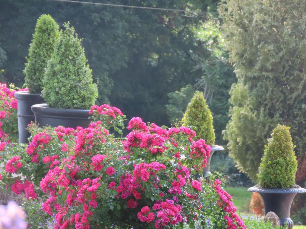 Noan Country House B&B Cashel  Exterior photo