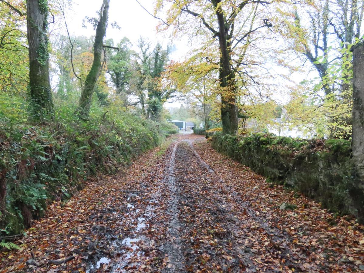 Noan Country House B&B Cashel  Exterior photo